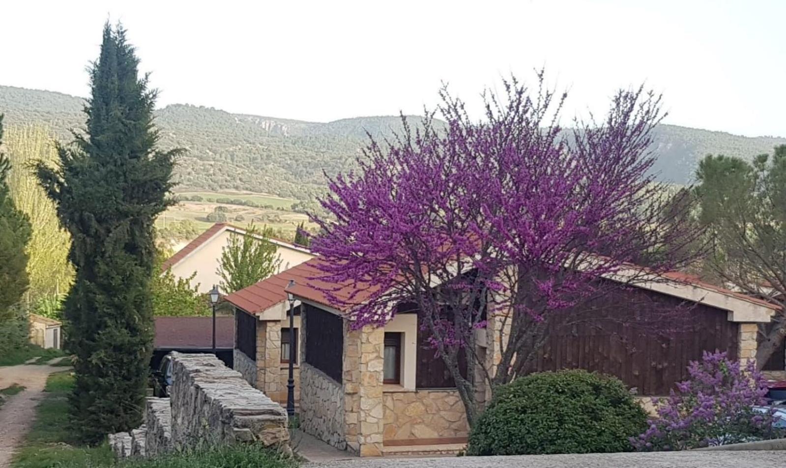 Aventura & Relax Cabanas Pena La Higuera Villalba de la Sierra Exteriör bild